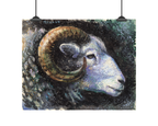 Ram Art Print: Canvas or Paper