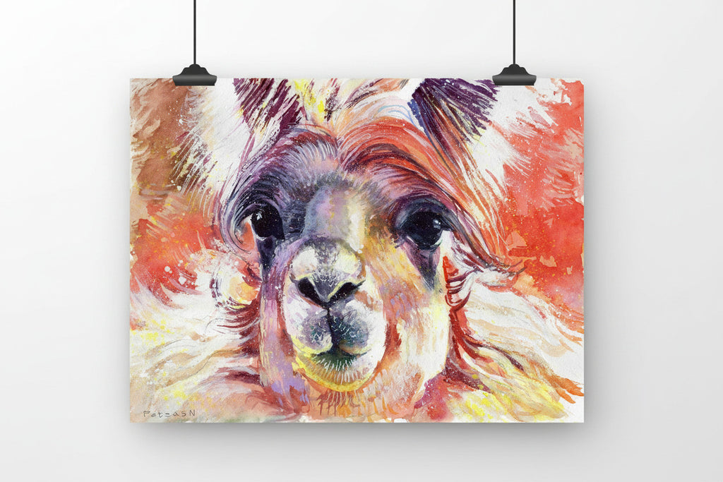 Llama Art Print: Canvas or Paper
