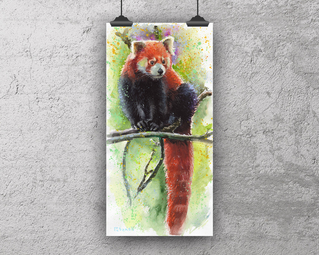 Red Panda Art Print: Canvas or Paper