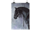 Black Horse Art Print: Canvas or Paper