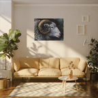 Ram Art Print: Canvas or Paper