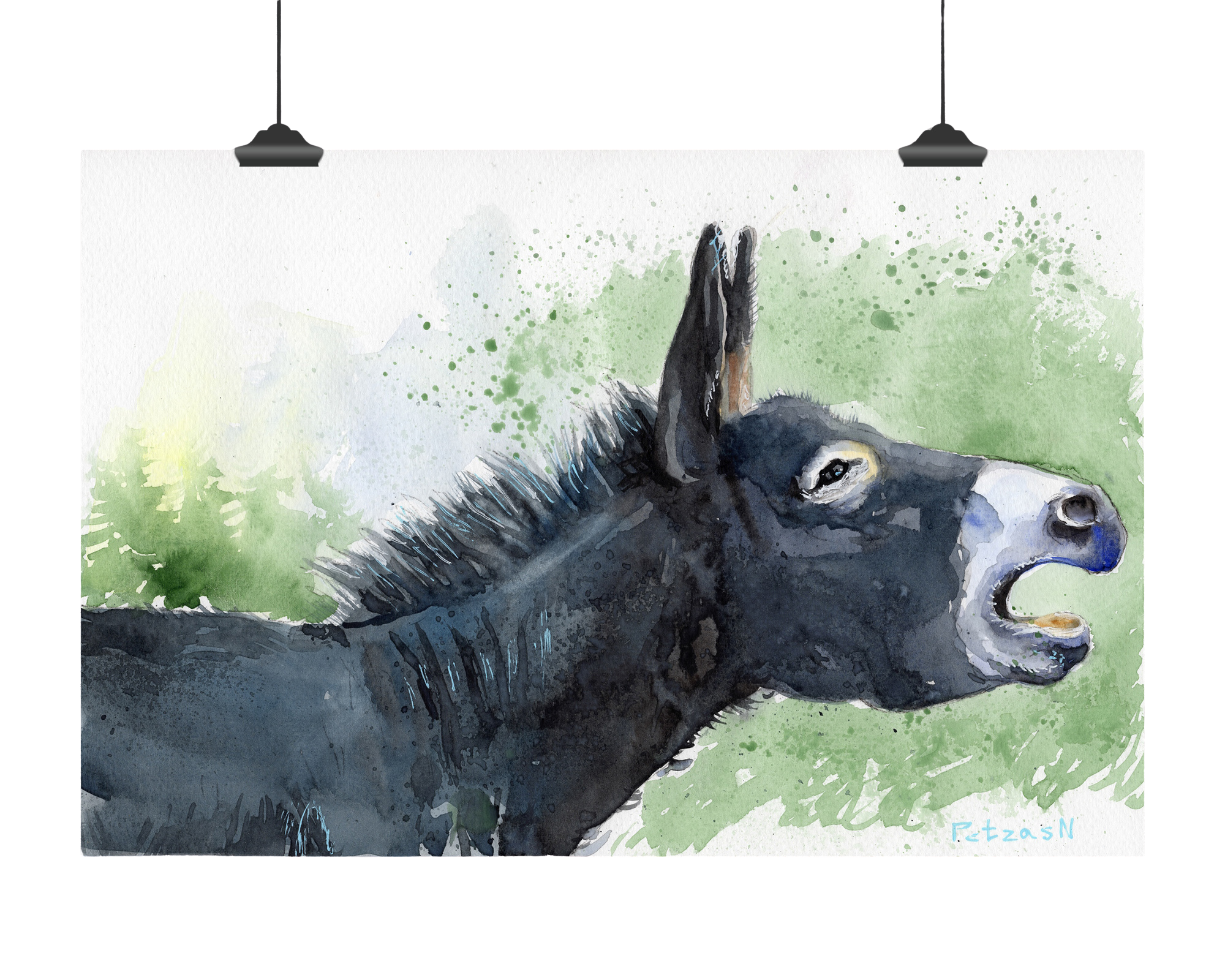 Donkey Art Print: Canvas or Paper