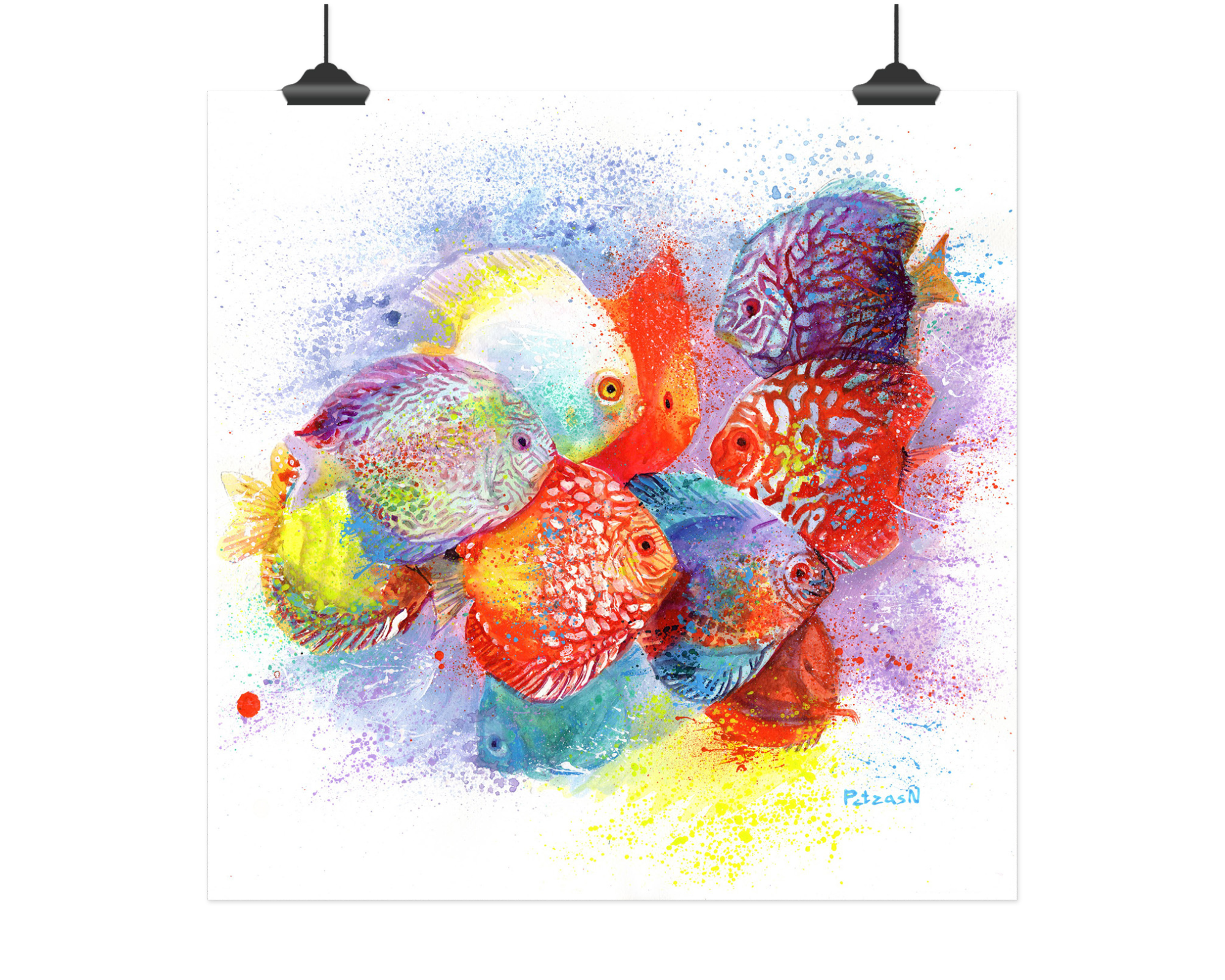 Discus Fish Art Print: Canvas or Paper