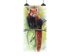 Red Panda Art Print: Canvas or Paper