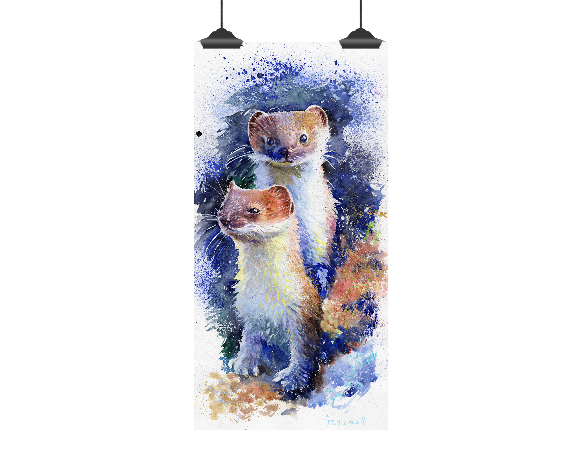 Stoats Art Print: Canvas or Paper